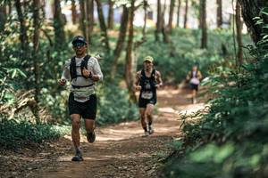 BIB: 
                            <button type="button" onclick="openModal(25335807)" class="btn btn-primary btn-sm float-right btn-popup" data-toggle="modal" data-target=".modal-high-quality">
                        <i class="fas fa-shopping-cart"></i> Add to Cart
                    </button>
                                            <button type="button" onclick="isThisMe(25335807, true)" class="btn btn-success btn-sm float-right btn-popup btn-isme hidden" data-toggle="tooltip" data-placement="bottom" title="นี่คือรูปของคุณใช่ไหม คลิกที่นี่เพื่อเอาเข้าอัลบั้ม">
                        <i class="fas fa-plus"></i> Add to album
                    </button>
                    <button type="button" onclick="isThisMe(25335807, false)" class="btn btn-warning btn-sm float-right btn-popup btn-isnotme hidden">
                        <i class="fas fa-ban"></i> Remove from album
                    </button>